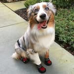 Priscilla Horton - @priscilla.horton71 - Instagram