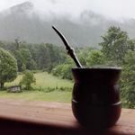 Priscilla Woehr Howell - @chilepaw - Instagram