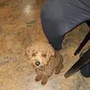 Priscilla Hutton - @priscilla.hutton1 - TikTok