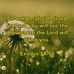 Priscilla Irving - Facebook