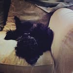 Priscilla Kirk - @priscillakirk677 - Instagram