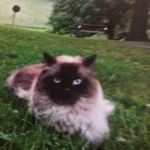 Priscilla Kiser - @priscilla.kiser.1 - Instagram