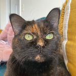 Priscilla - @little_miss_priscilla - Instagram