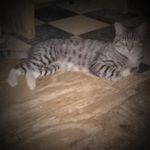 Priscilla Mathis - @willetomathis - Instagram