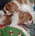 Priscilla Mccarty - Facebook