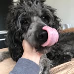 Priscilla Meadows - @priscillameads34 - Instagram