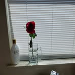 Priscilla Mickle - Facebook