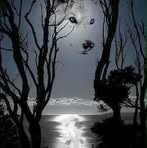 Priscilla Mickle - Facebook