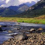 Priscilla_Morse - @priscilla_morseu - Instagram