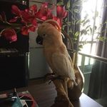 Priscilla Moss - @priscillamoss74 - Instagram