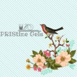 Priscilla Pack - @pristinegels - Instagram