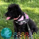 Parent Priscilla - @priscilla.parentcilla - Instagram