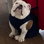 Priscilla Parent - @prissparent - Instagram