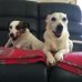 Priscilla Pike - Facebook