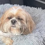 Priscilla Pilon - @prissypants29 - Instagram
