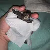 Priscilla Pratts - @priscillapratts - TikTok