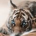Priscilla Prentice - Facebook