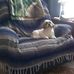 Priscilla Reader - Facebook