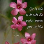Priscilla Rendon - @p_rendon03 - Instagram
