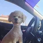 Priscilla Rendon - @proxy_619 - Instagram