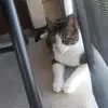 priscillarendon - @user73088141 - TikTok