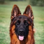 Priscilla Nyonator Rock - @priscilla.rock.355 - Instagram