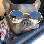 Priscilla Rubio - @priscilla.rubio.7374 - Instagram