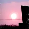 Priscilla Salas - @priscilla.salas4 - TikTok