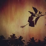 Peter+Parcker - @priscillasellers745248 - Instagram