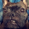 priscillatyson - @priscillatyson - TikTok