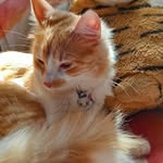 Priscilla E. Velez E - @priscillavelez66 - Instagram