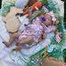 Priscilla Walden - Facebook