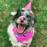 Priscilla Watts - @hpris80 - Instagram