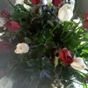 Priscilla.Whitaker - @doyleruujsf - TikTok