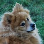 Priscilla Murphy York - @priscillayork31 - Instagram