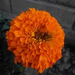 pritish - @pritishagarwal44 - Instagram