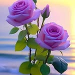 Priya Balakrishnan - @balakrishnan_priya - Instagram