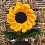 Priya Prasad - @yarn_n_hook - Instagram