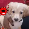priya Prasad - @pretty____priya - TikTok