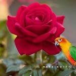 Priya Srinath - @priya.srinath.771 - Instagram