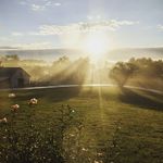 Prudence Hill Homestead - @prudence_hill_homestead - Instagram