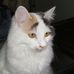 Prudence Huff - Facebook