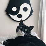 Psyche Munoz-Edwards - @thecatonfifteenth - Instagram