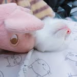 Kennis - @k_puiyung - Instagram