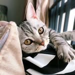 KPuiYung - @k.puiyung - Instagram