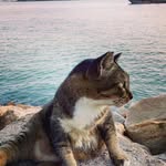 @puiyung_27 - Instagram