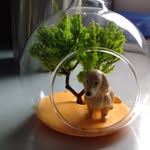 Puiyung Li - @lpuiyung - Instagram