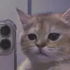 Pujan Patel - @pujan.patel1 - TikTok
