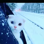 Lateefah - @qasimlateefah - Instagram