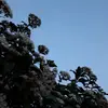 Qi Jia - @qijiax - TikTok